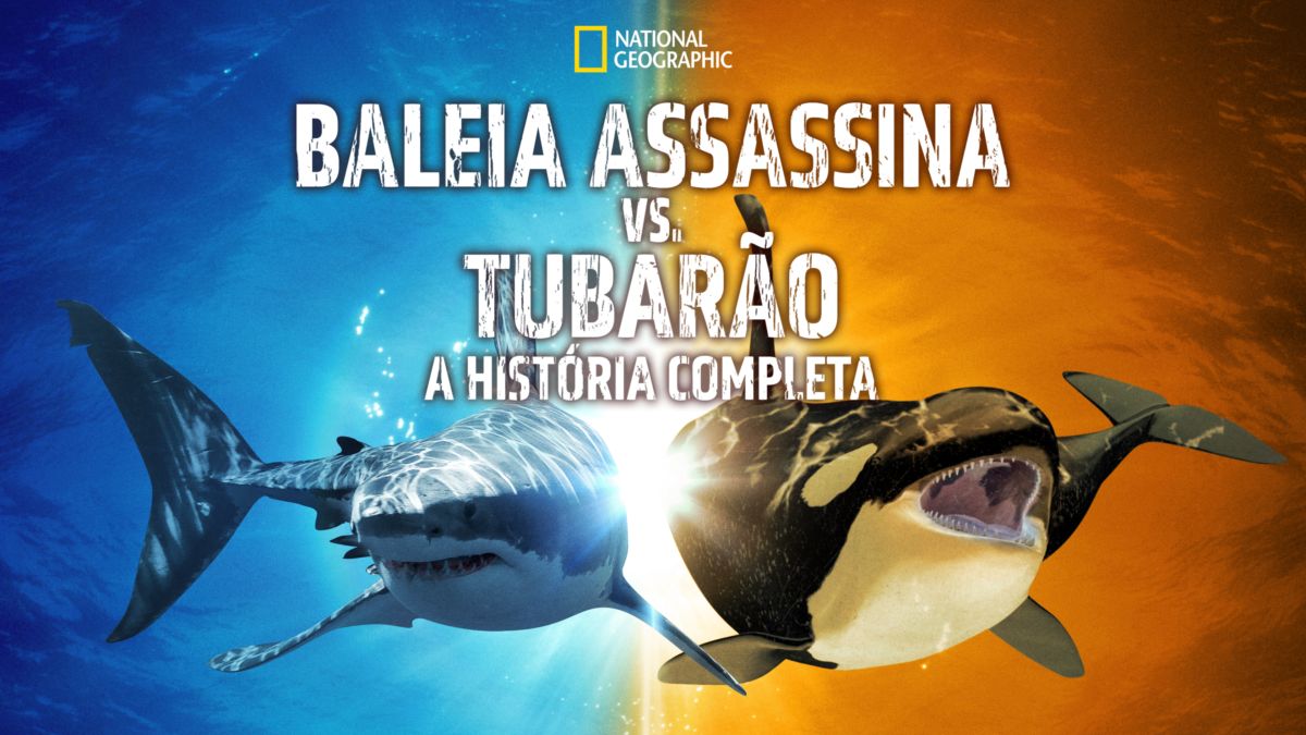 DVD4444 - orca - A baleia assassina em Promoção na Americanas