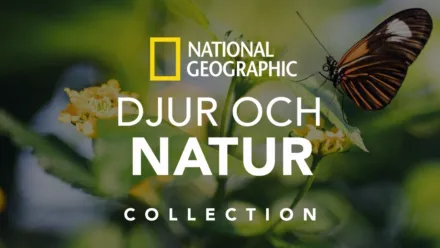 thumbnail - National Geographic: Djur och natur