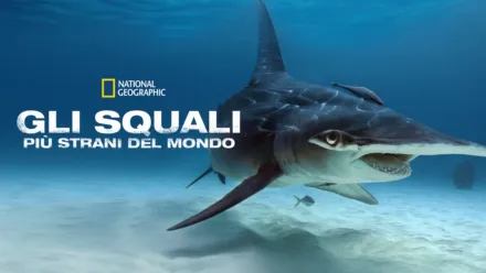 thumbnail - Gli squali più strani del mondo