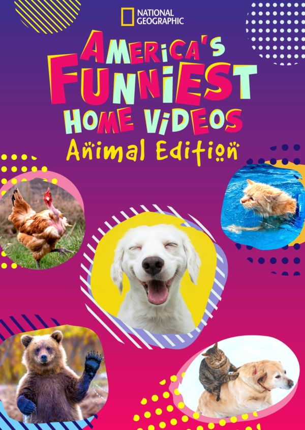 America's Funniest Home Videos: Animal Edition on Disney+ IE