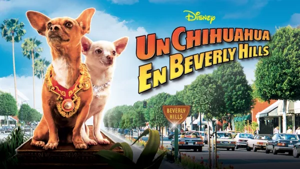 thumbnail - Un chihuahua en Beverly Hills