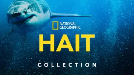 thumbnail - National Geographic: hait