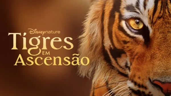 thumbnail - Tigres em Ascensão