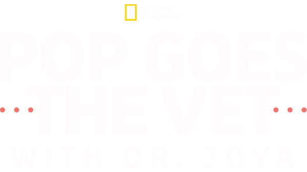 Pop Goes the Vet with Dr. Joya
