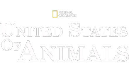 美国动物百科