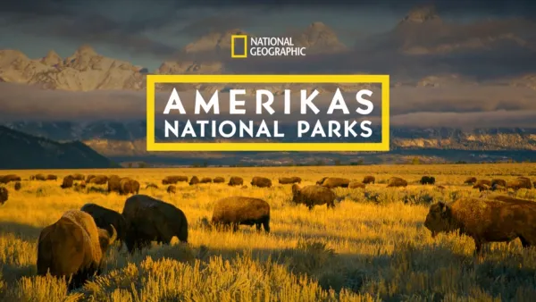 thumbnail - Amerikas Nationalparks: Faszination Wildnis