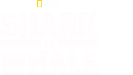 Shark vs. Whale