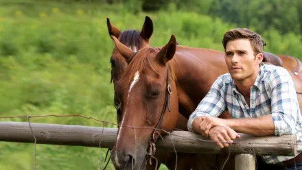 Elämänpituinen matka - The Longest Ride