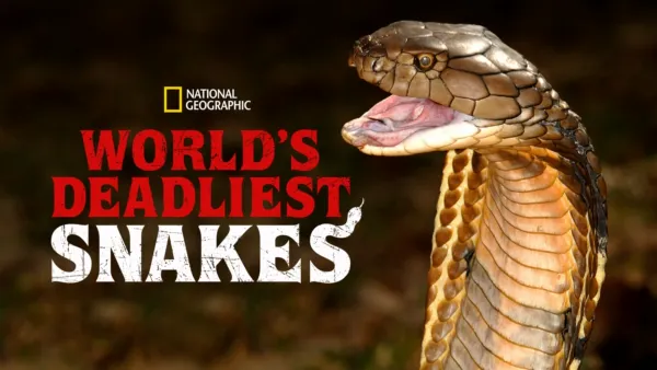 thumbnail - World’s Deadliest Snakes