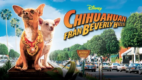 thumbnail - Chihuahuan Från Beverly Hills
