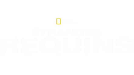 Étranges requins