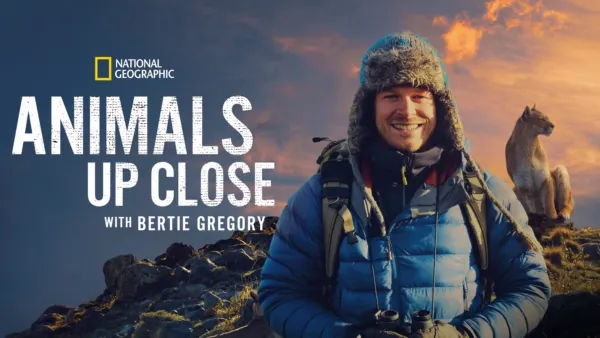 Watch Incredible Animal Journeys TV Show - Streaming Online