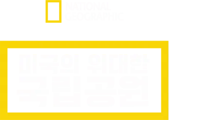 미국의 위대한 국립공원