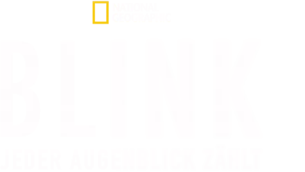 Blink - Jeder Augenblick zählt