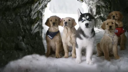 Snow Buddies: Cachorros en la nieve