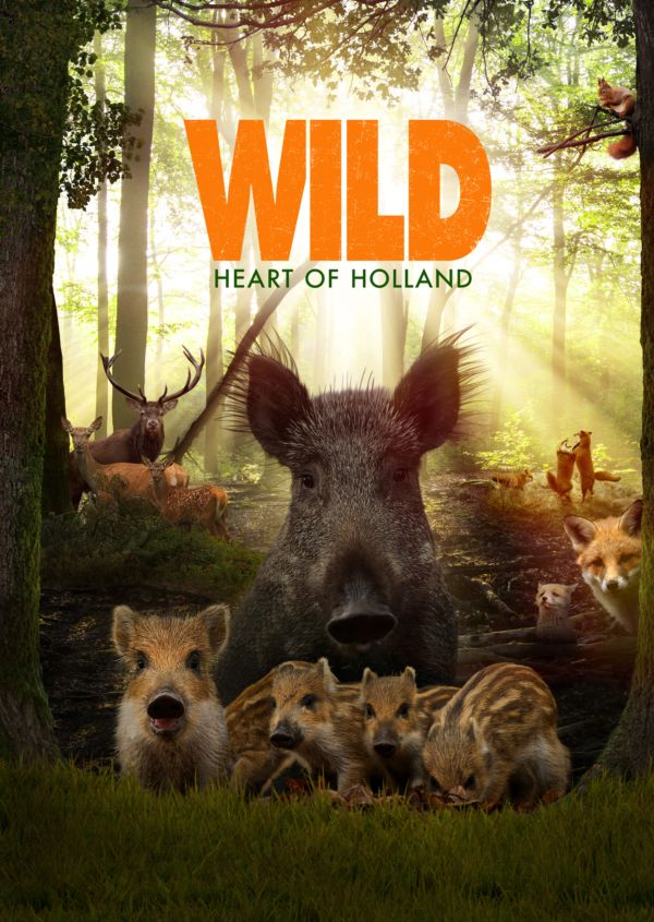 Wild on Disney+ ES