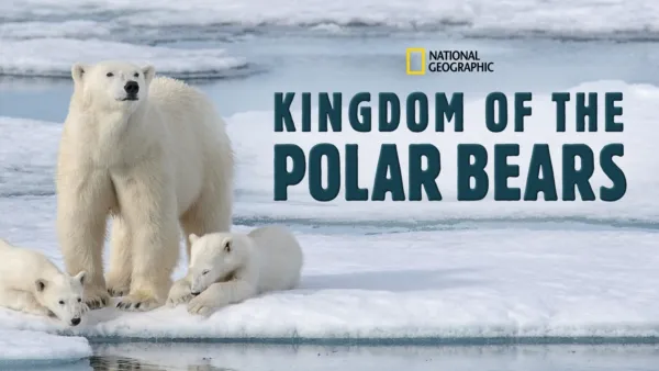 thumbnail - Kingdom of the Polar Bears