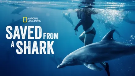 Watch National Geographic Sharks | Disney+