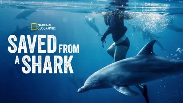 Watch Return of the White Shark | Disney+