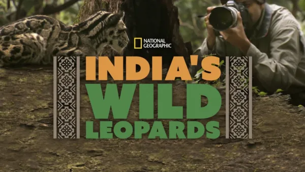 thumbnail - India's Wild Leopards