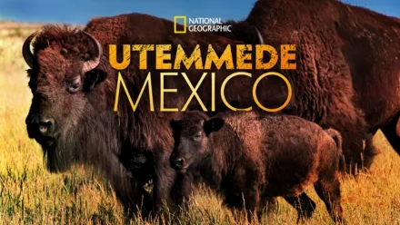 thumbnail - Utemmede Mexico