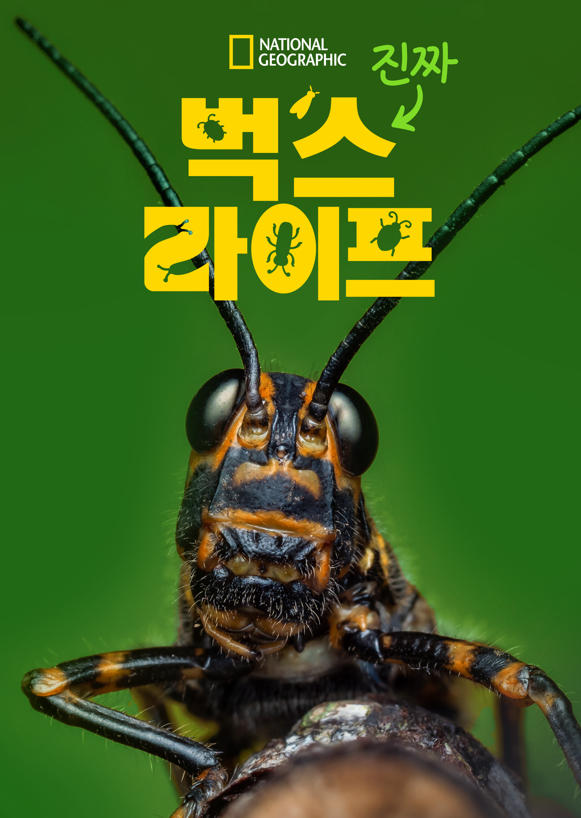 진짜 벅스 라이프 시즌1