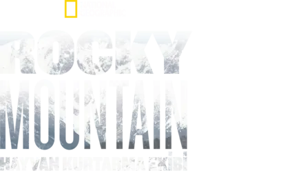 Rocky Mountain Hayvan Kurtarma Ekibi