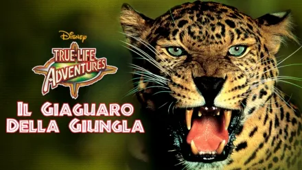 thumbnail - Il giaguaro della giungla
