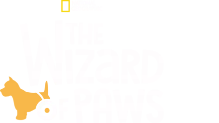 The Wizard of Paws