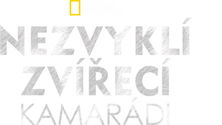 Nezvyklí zvířecí kamarádi