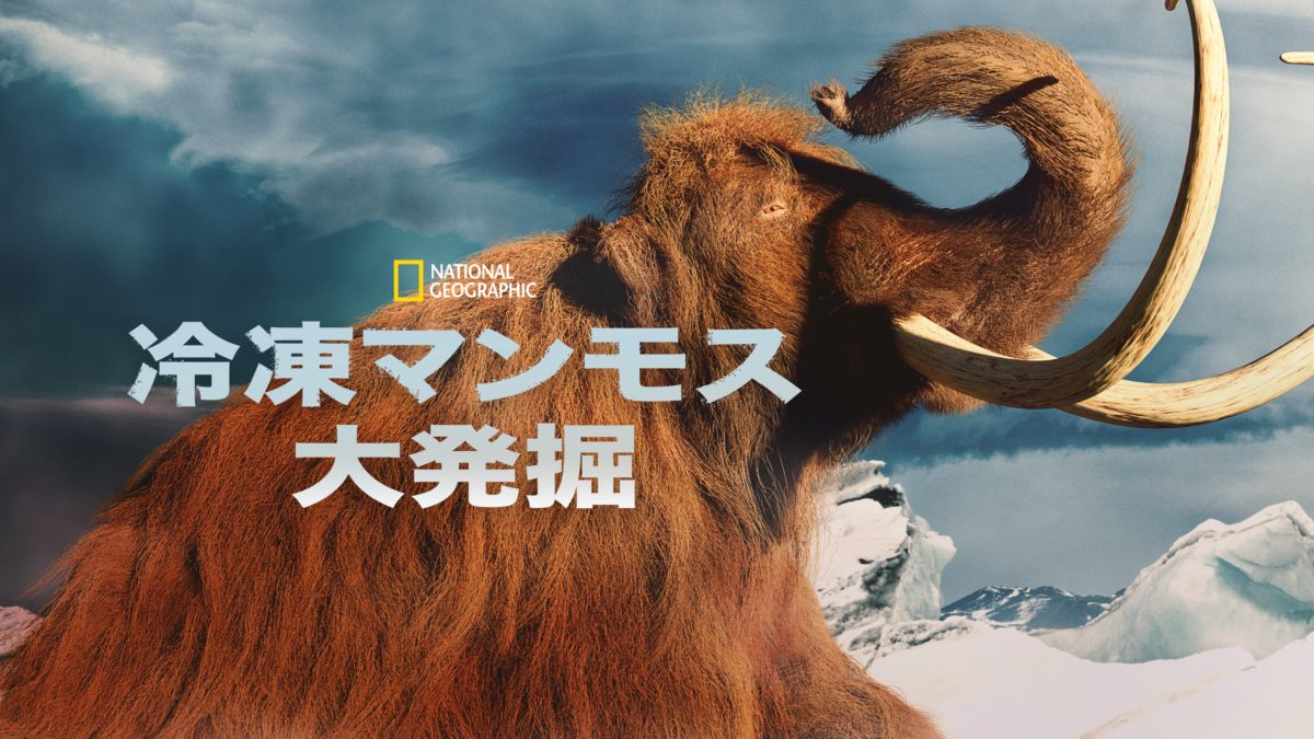 冷凍マンモス大発掘を視聴 全編 Disney ディズニープラス