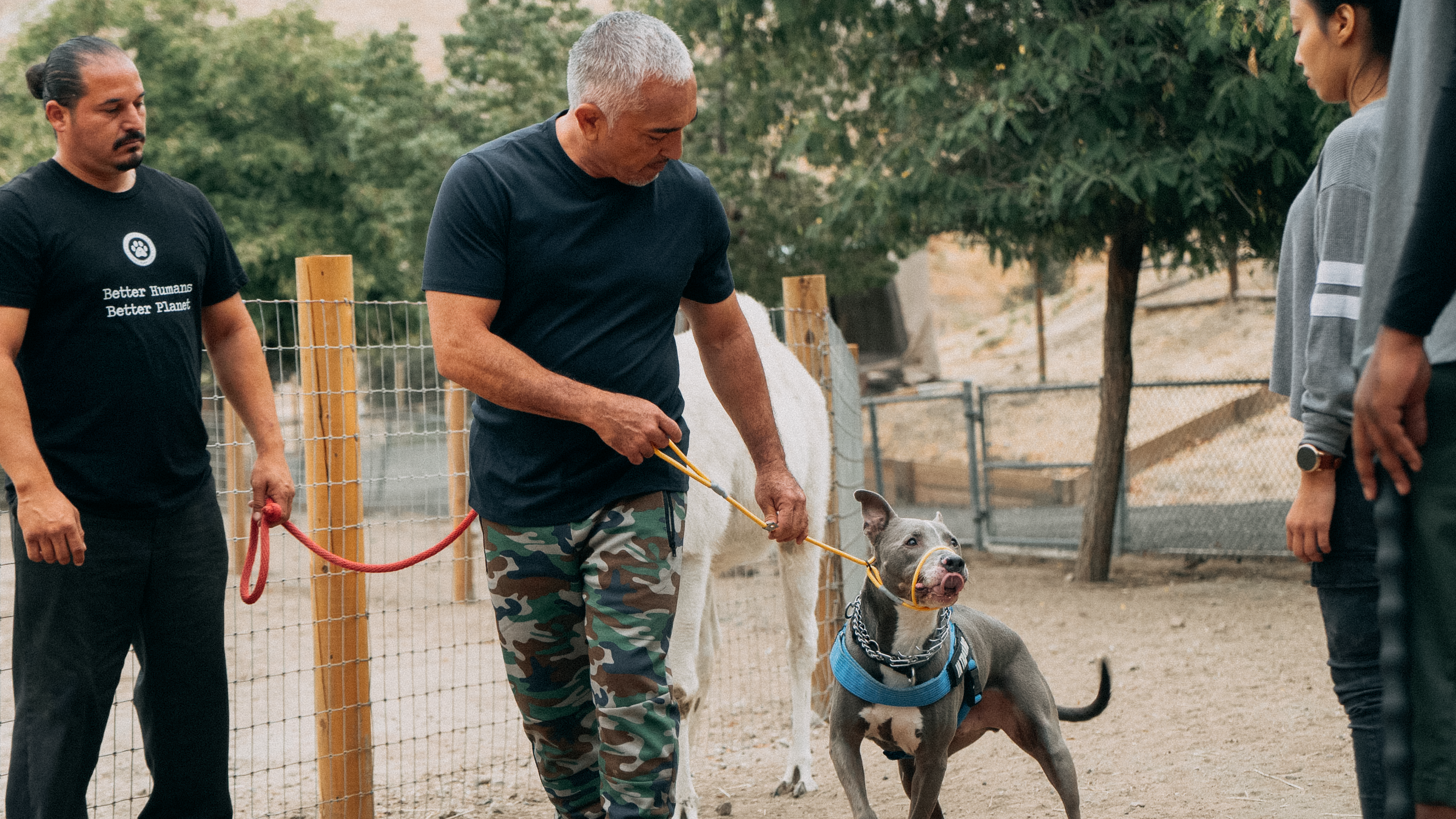 Cesar Millan: Om bun, câine bun