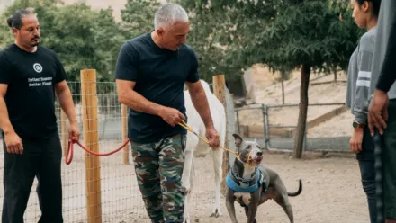 Cesar Millan: İyi İnsan, İyi Köpek