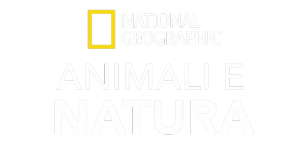 National Geographic: animali e natura Title Art Image