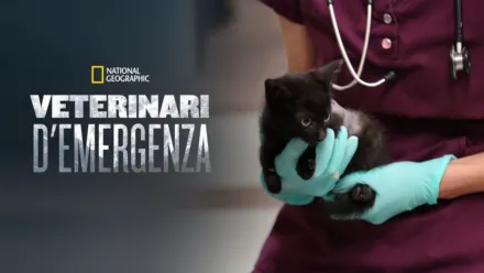 thumbnail - Veterinari d'emergenza