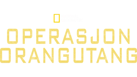 Operasjon orangutang