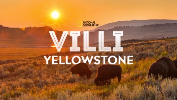 thumbnail - Villi Yellowstone