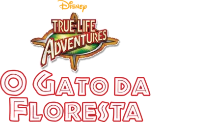 O Gato da Floresta