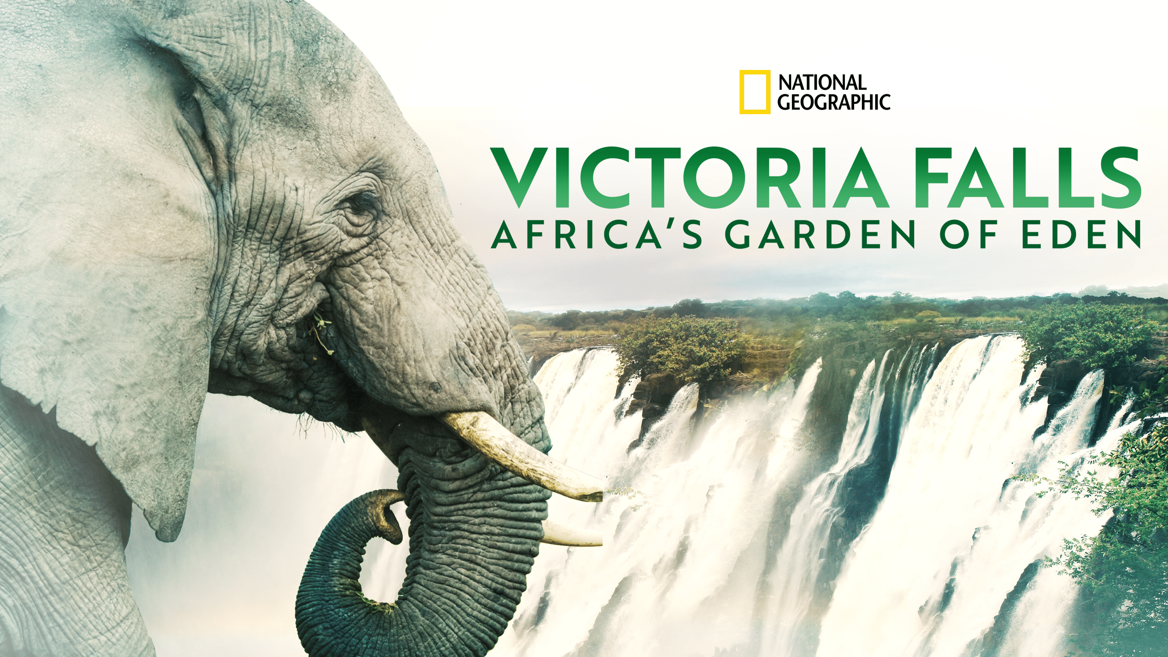 Watch Victoria Falls Africa S Garden Of Eden Full Movie Disney   Scale