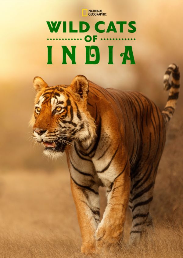 Wild Cats of India on Disney+ ES