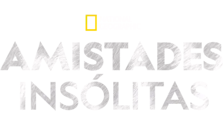 Amistades insólitas