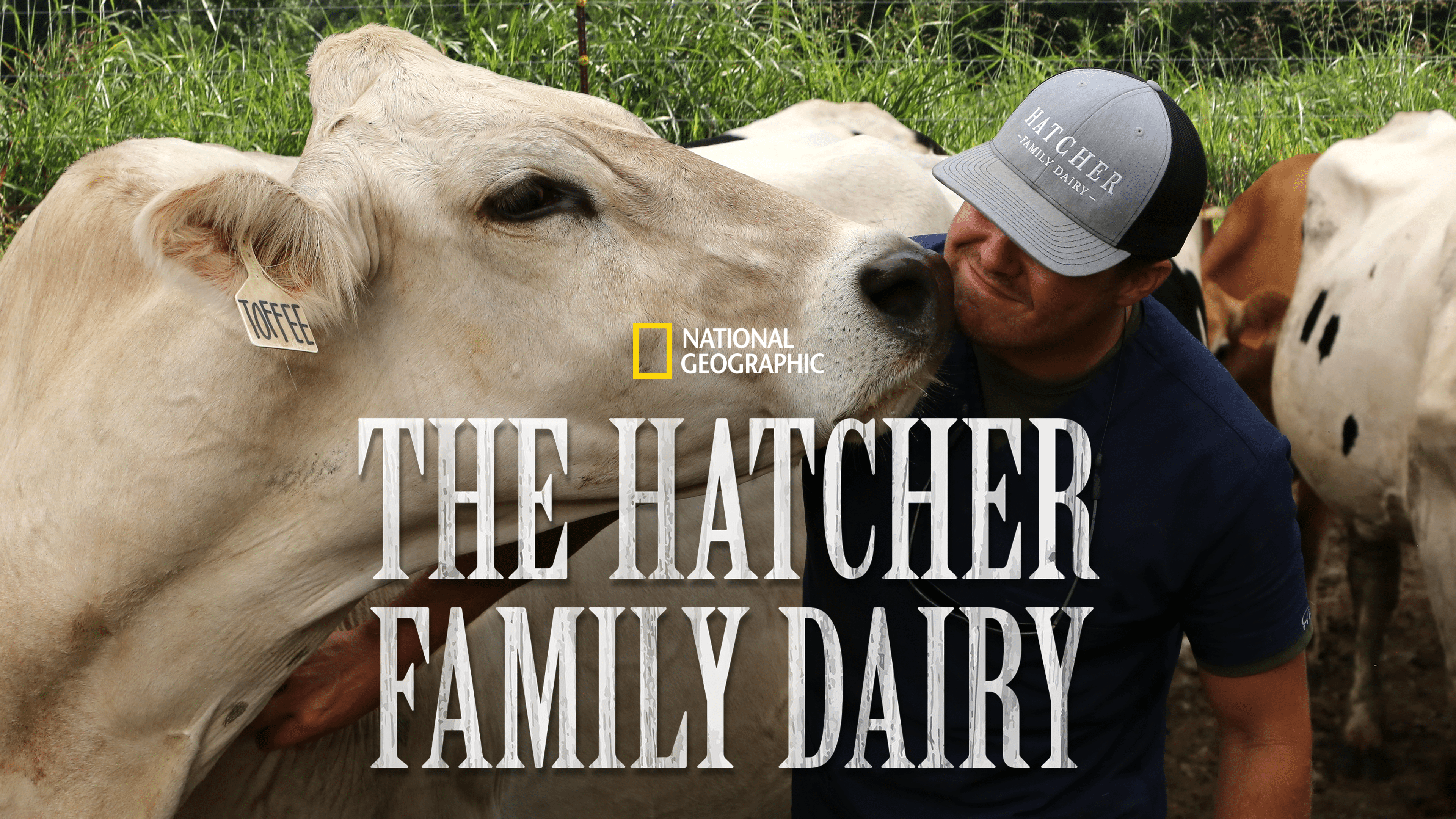 Watch The Hatcher Family Dairy Disney   Scale