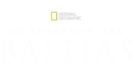 Os Segredos das Baleias