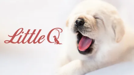 thumbnail - Little Q