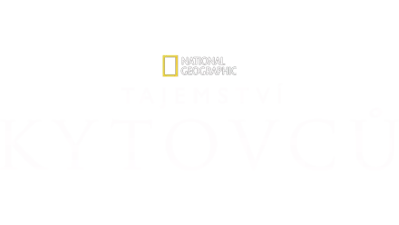 Tajemství kytovců