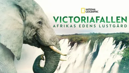 thumbnail - Victoriafallen: Afrikas Edens lustgård