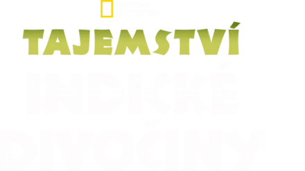 Tajemství indické divočiny