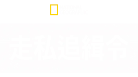 走私追緝令