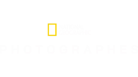Photographes