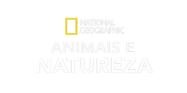 National Geographic: Animais e Natureza Title Art Image